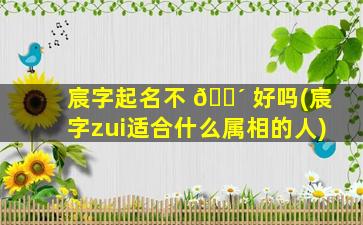 宸字起名不 🌴 好吗(宸字zui
适合什么属相的人)